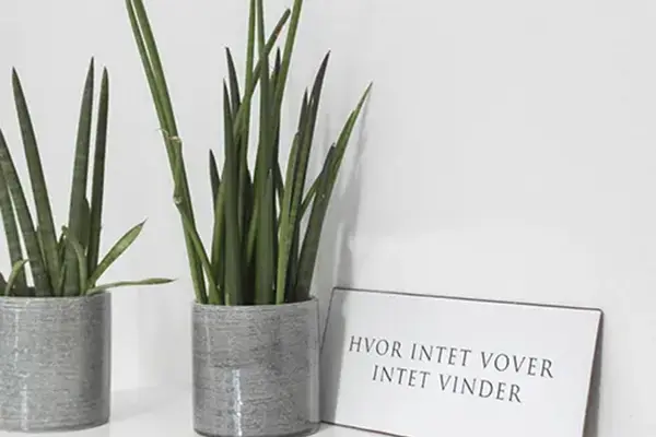hab nyhedsbrev marts